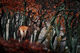 Red deer Smart Art Design