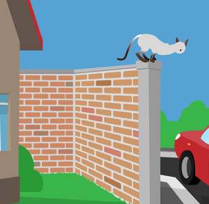 50m Standard Installation Packs: Cat Proof Fence Installation Pack  - Masonry Fences 50m