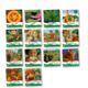 Phonics Code Sapling Series 2: Books 66-79