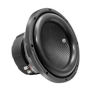 Recoil PW10D2 10-Inch Dual 2-Ohm Subwoofer 800W MAX