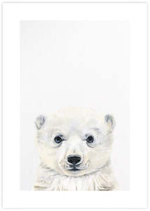 Baby Polar Bear