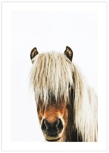Kids Room: Icelandic Horse
