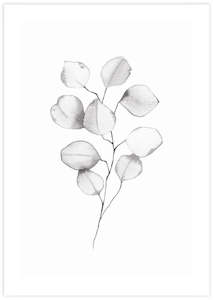 Minimalist Art: Eucalyptus Leaves