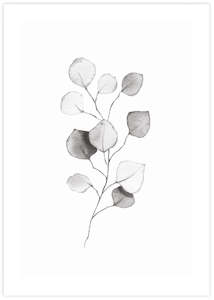 Minimalist Art: Eucalyptus Leaves II