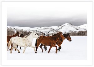 Snow Horses
