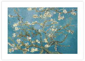 Almond Blossom
