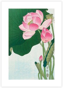 Blooming Lotus