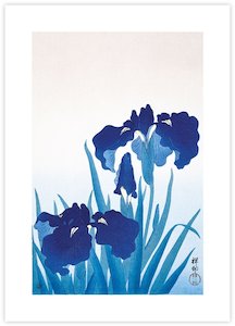 Iris Flowers