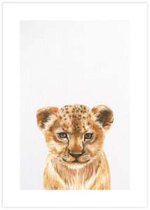 Kids Room: Baby Lion