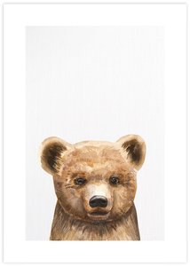 Kids Room: Baby Bear