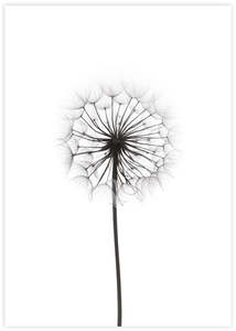 Contemporary Art: Dandelion