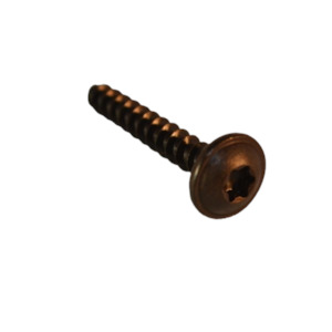 Screw PF K40X 25 T20 Round