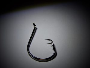 Products: Recurve Circle Hooks - SnapperTackle®