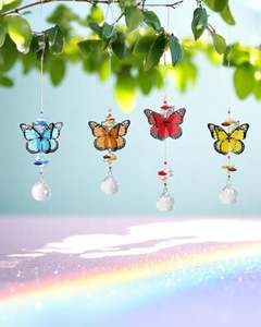 Butterfly with Crystals