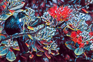 Souvenirs: Tui In Pohutakawa Print On Glass