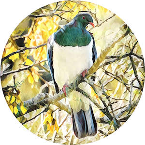 Souvenirs: Kereru Print on Glass