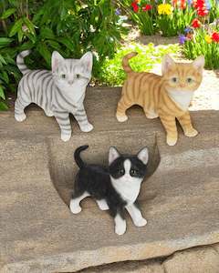 Standing Kittens