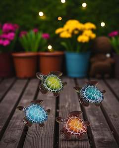 Fairy Gardens: Miniature Turtles