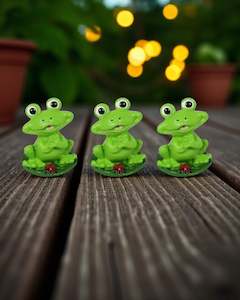 Mini Frog on leaf with Lady Bug