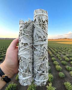 9" Inch California White Sage (Salvia Apiana) Herb Wands