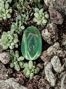 Aventurine Vee Jayjay