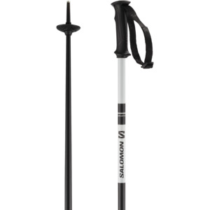Ski Poles: Poles - X North 24