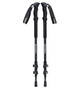 Gabel Vertigo XTL Adj Pole