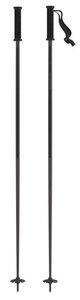 Atomic Park Pole