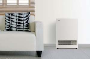 Gas Fires: Rinnai Energysaver 561FT / FT3 Space Heater