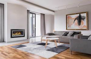 Gas Fires: Evolve 1253