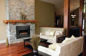 Gas Fires: Compact 2 Gas Fire