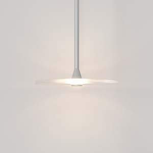 Pendant Light: Coral Single Pendant - Clear Glass