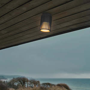 Aludra Ceiling Light