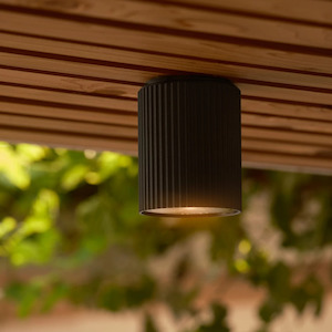 Outdoor: Kyklop Ripple Ceiling Light