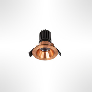 Copper Exterior Recessed Downlight