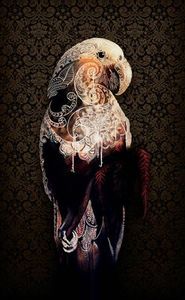 Animals + Birds Sofia Minson Artist: The Heart of the Kākā