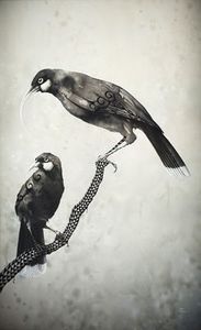 Animals + Birds Sofia Minson Artist: Ngahuia