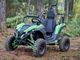 Buggy