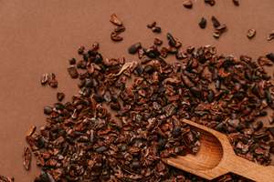 Single Origin Roasted Cacao Nibs - 10kg - certified vegan , organic