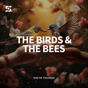 The Birds and The Bees