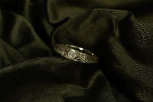All Bands: Aegis Ring - 9ct White Gold with Diamond