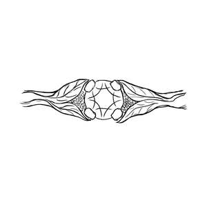 Damo Ring - Made to Order