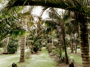 Workshops: AUCKLAND (Matakana):  Saturday 8th June