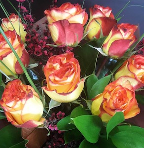 Bay Of Plenty: Blooms on Cameron - Tauranga