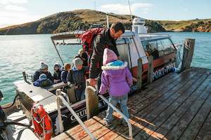 Port to Port Cruises and Wildlife Tours  - Dunedin