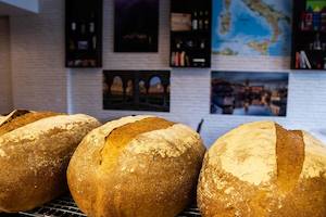 Nelson Marlborough: Babagatto - Nelson