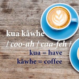 Coromandel: Kua Kawhe - Kuaotunu