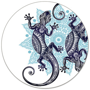 North Canterbury: Gecko Gearz - Kaikoura