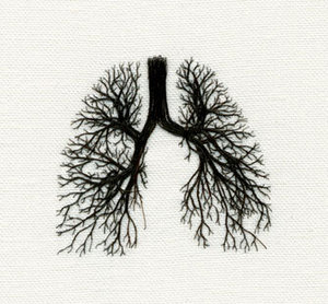 Breathe Lab - SOUL Centre