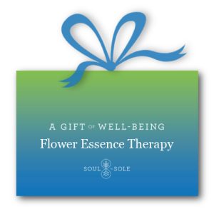 Products: Reflexology Taster Gift Voucher
